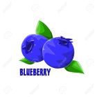 Blueberry