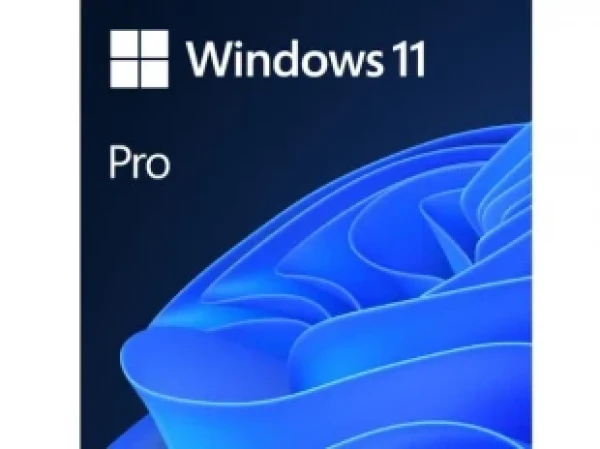 Microsoft Windows 11 Professional 64Bit Eng Intl 1pk DSP OEI DVD (22H2)