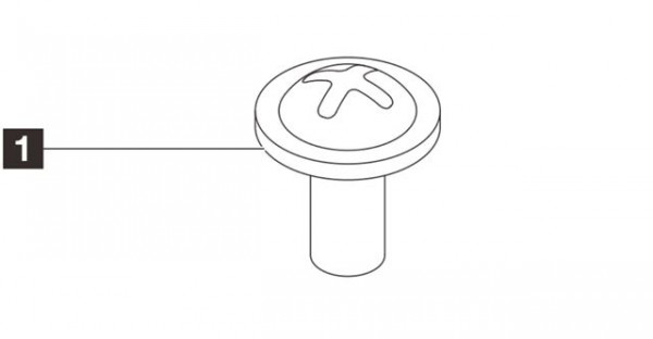 SRV DOD LN ST45 V3 M.2 Screw Kit